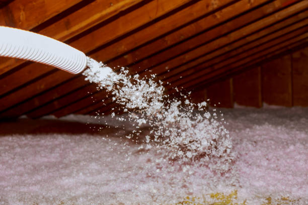 Best Insulation Maintenance and Repair in Geneva, OH