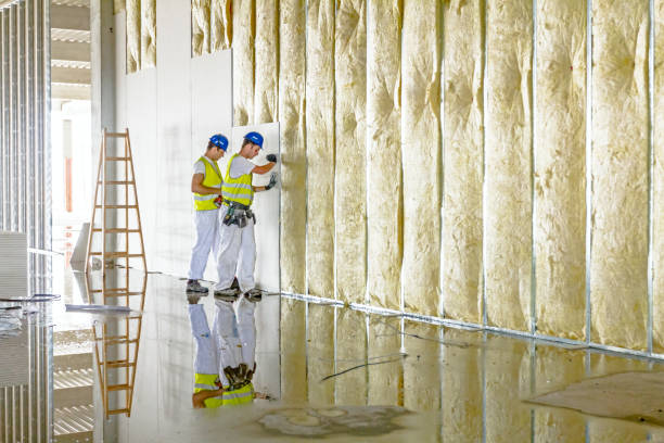 Best Eco-Friendly Insulation in Geneva, OH